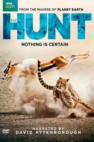 Movie poster of BBC: The Hunt