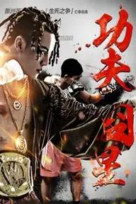 Movie poster of Kung Fu Star