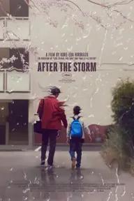 Movie poster of After the Storm