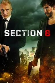 Movie poster of Section 8