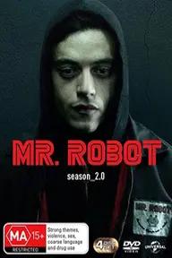 Movie poster of Mr. Robot (Season 2)