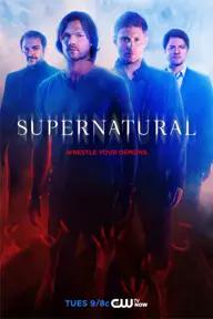 Movie poster of Supernatural (Season 10)