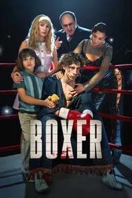 Movie poster of Boxer