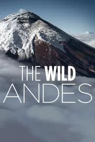 Movie poster of The Wild Andes