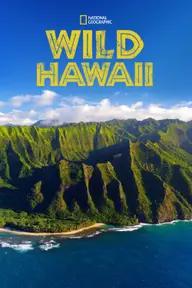 Movie poster of Wild Hawaii