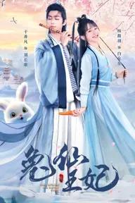 Movie poster of The Princess is a Rabbit Fairy