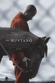 Movie poster of The Mustang