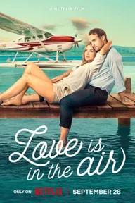 Movie poster of Love is in the Air