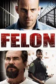 Movie poster of Felon