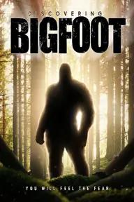 Movie poster of Discovering Bigfoot