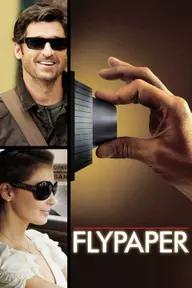 Movie poster of Flypaper