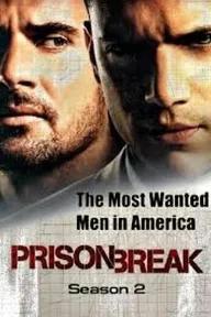 Movie poster of Prison Break (Season 2)