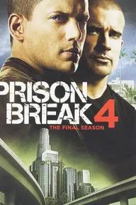 Movie poster of Prison Break (Season 4)