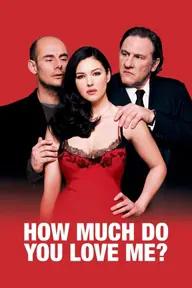 Movie poster of How Much Do You Love Me?