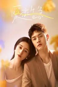 Movie poster of Fall In Love Again